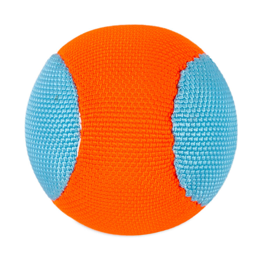 Chuckit! Amphibious Pelota Flotante para perros, , large Imagen numero 4